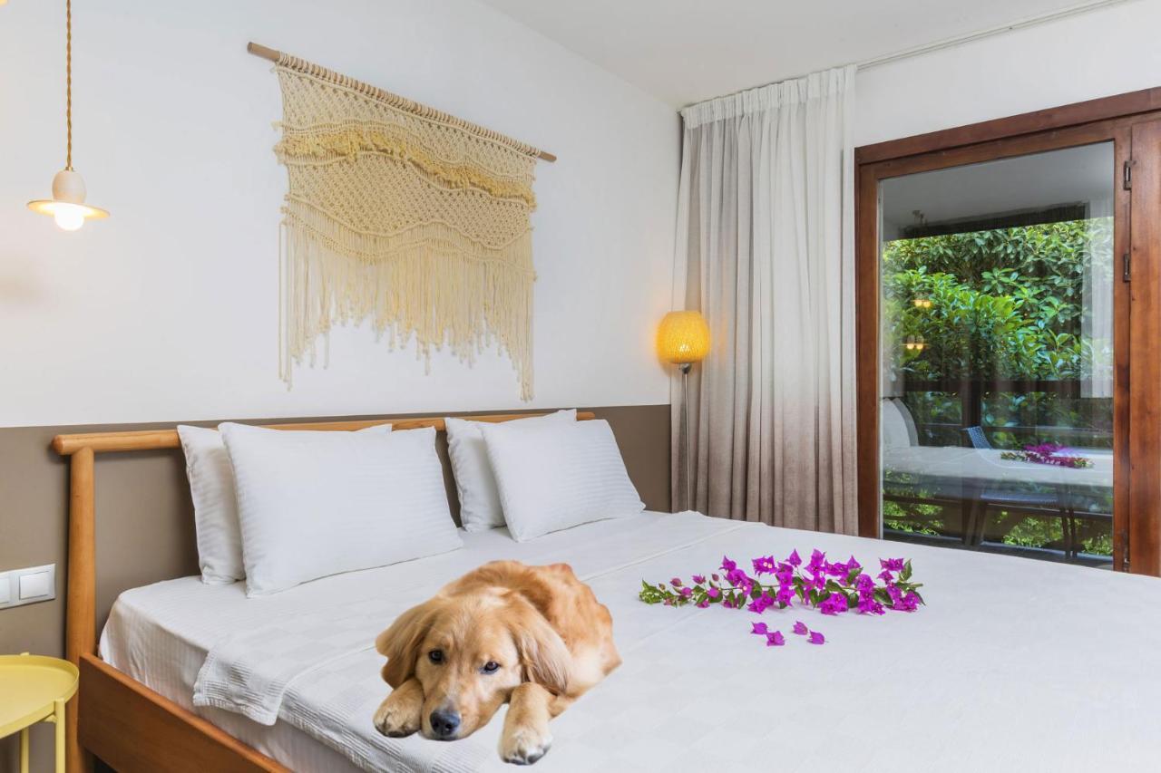 Faros Bodrum Hotel - Special Category Golturkbuku Zewnętrze zdjęcie